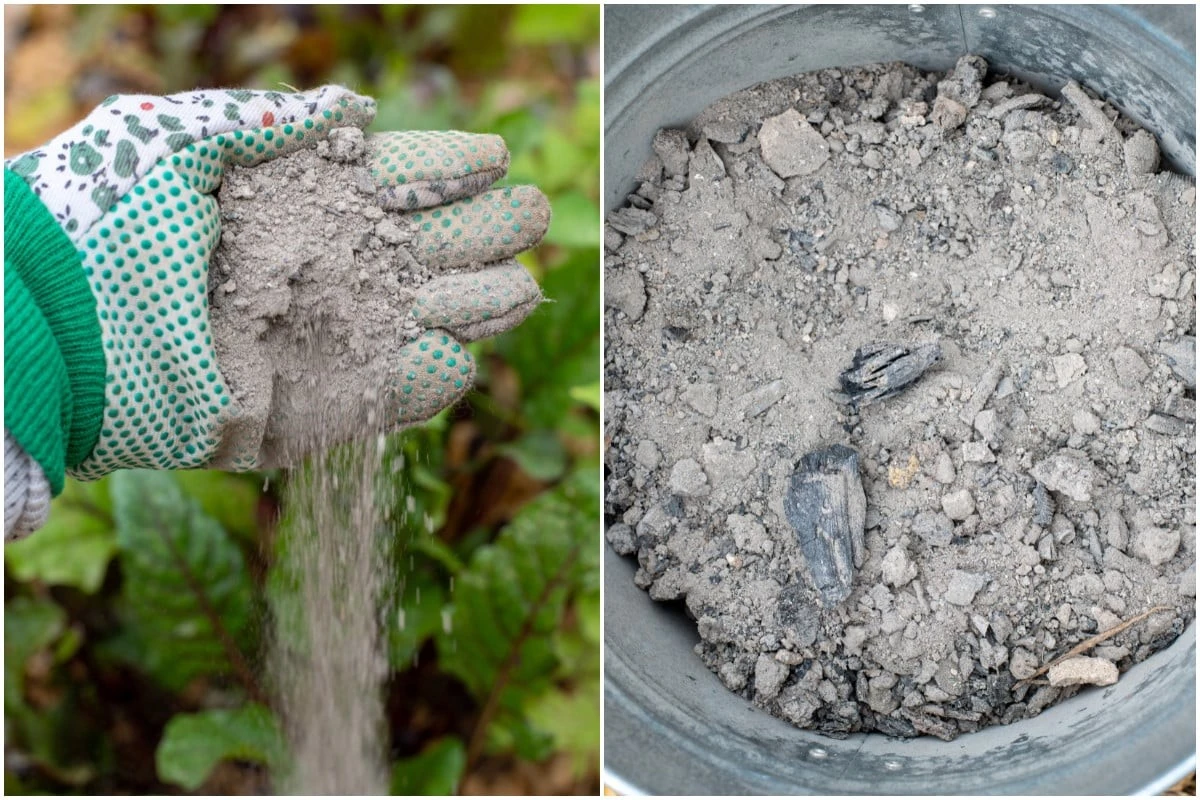 Jak vyřešit rosení oken v roce 2026: Stačí hrst tohoto popela - image 1