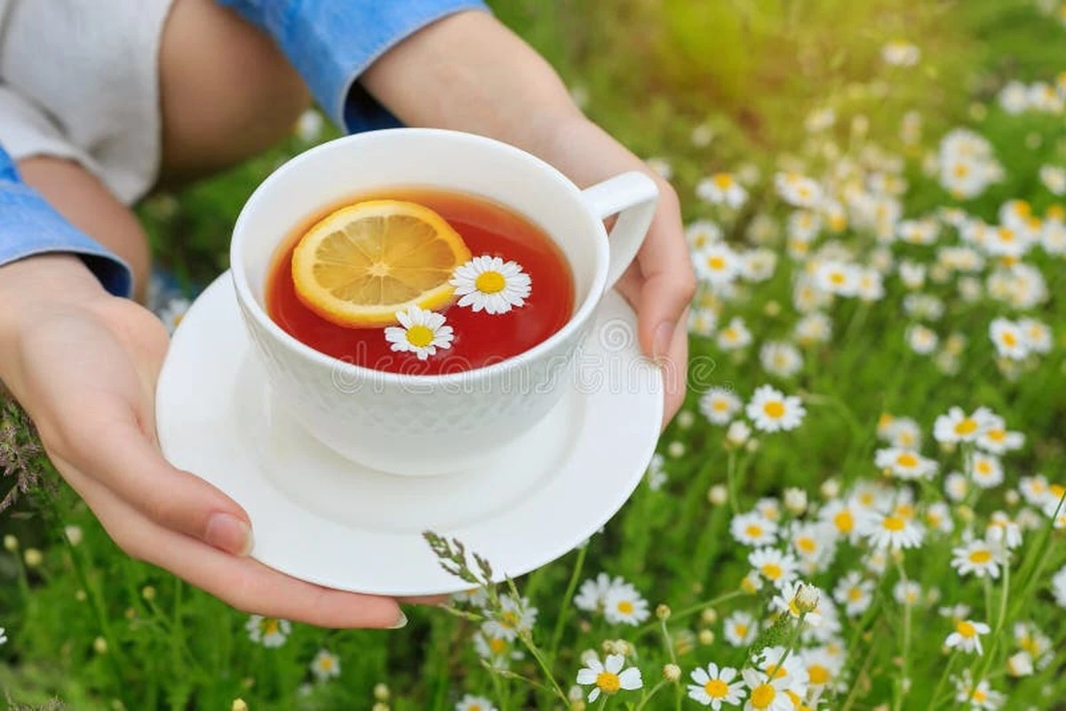 Proč onkoložka pije každý večer heřmánkový čaj (ale varuje před doplňky) - image 1