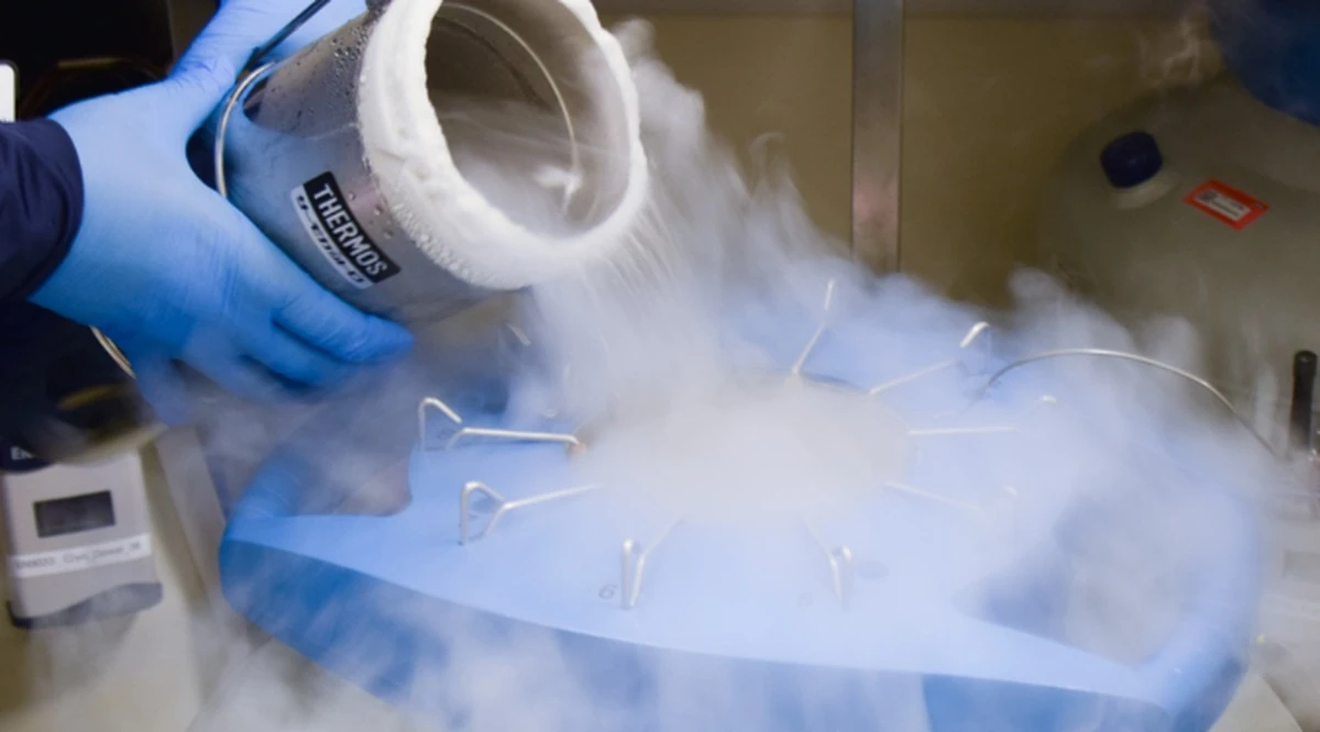 Proč se české ženy zajímají o zmrazení vajíček právě teď a kolik to v roce 2026 stojí - image 1