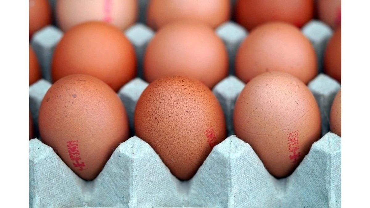 Proč už nikdy nedávám vajíčka do dvířek lednice: Rada od expertky, která mi změnila vaření