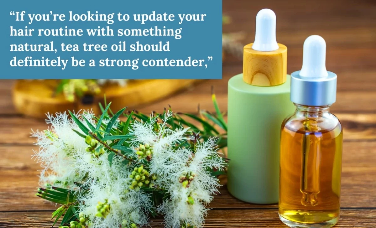 Proč zkušené kadeřnice přidávají tři kapky čajovníkového oleje do šampónu - image 1