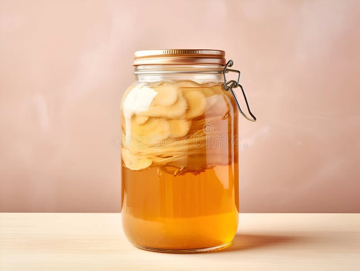 Proč zkušení biopotravináři vynechávají kombuchu při pálení žáhy - image 1