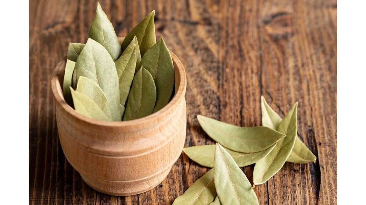 Proč zkušení bylinkáři nedají dopustit na odvar z bobkového listu pro pleť