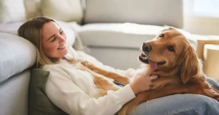Proč zkušení chovatelé kontrolují délku drápků svých psů častěji než dřív