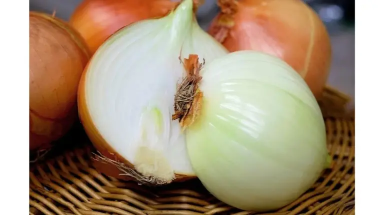 Proč zkušení dietologové doporučují plátek syrové cibule ke každému obědu