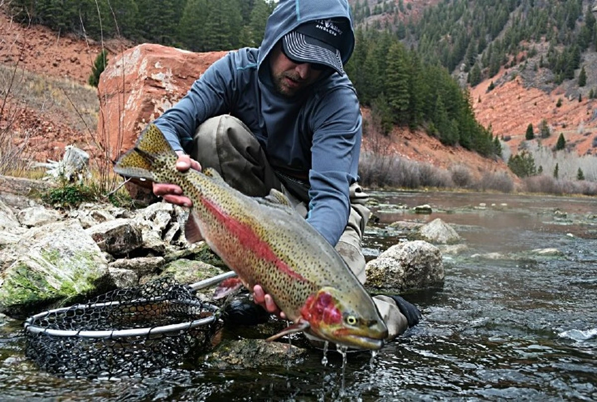 Proč zkušení kuchaři dělají hluboké zářezy do ryby před smažením - image 1