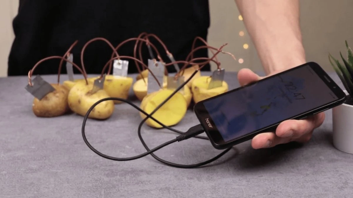 Proč zkušení kutilové zapichují měděný drát do obyčejných brambor