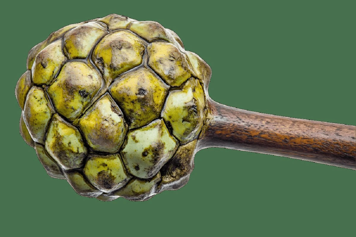 Proč zkušení nákupčí hledají v regálech s ovocem hrbolatou atemoyu - image 1