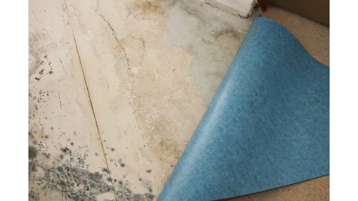 Proč zkušení podlaháři sypou pod linoleum obyčejnou sodu