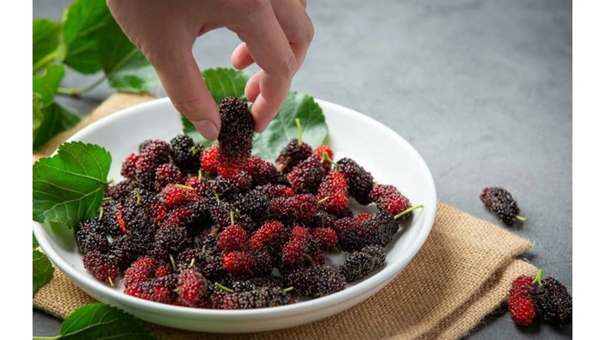 Proč po padesátce jím každý den hrst moruší