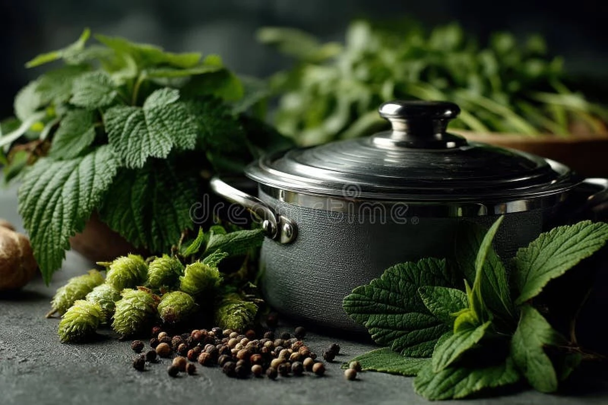 Proč se ve francouzských bytech už nepoužívají digestoře: Trik za pár korun pro čistý vzduch - image 1