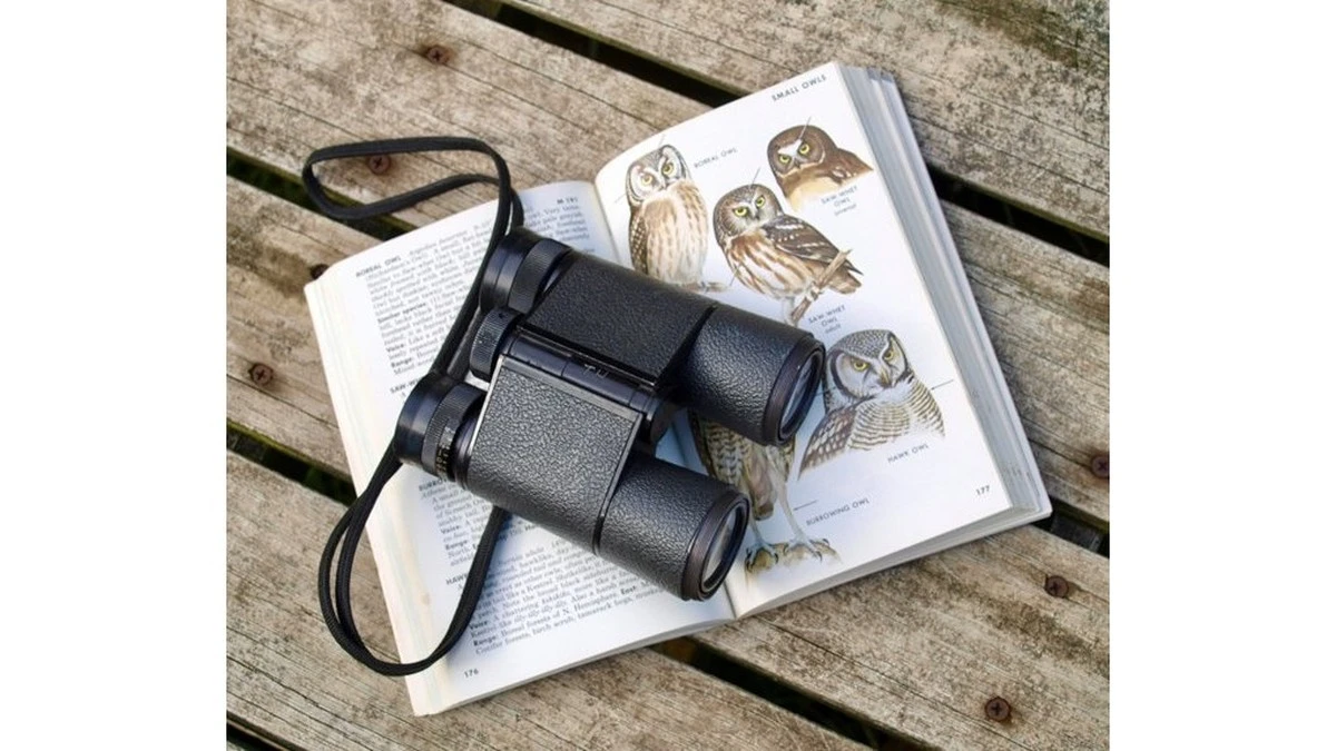 Proč se zkušení neurologové usmívají, když zmíníte pozorování ptáků