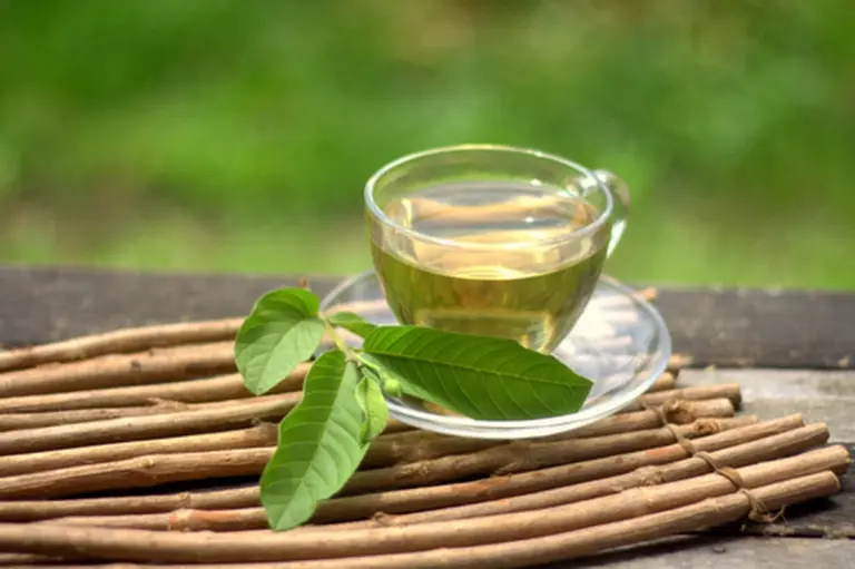 Proč zkušení bylinkáři dávají listy kvajávy do horké vody před jídlem