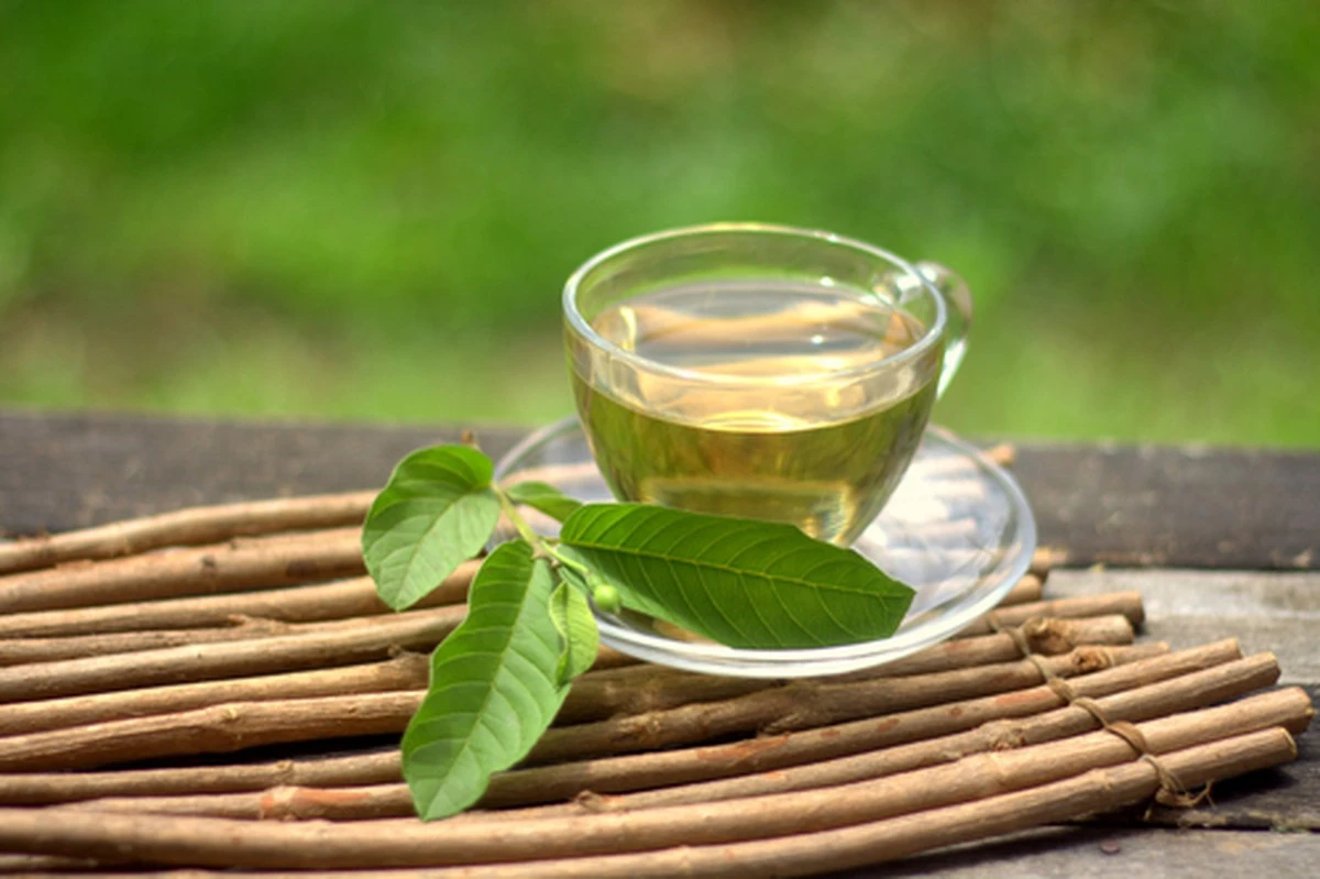 Proč zkušení bylinkáři dávají listy kvajávy do horké vody před jídlem