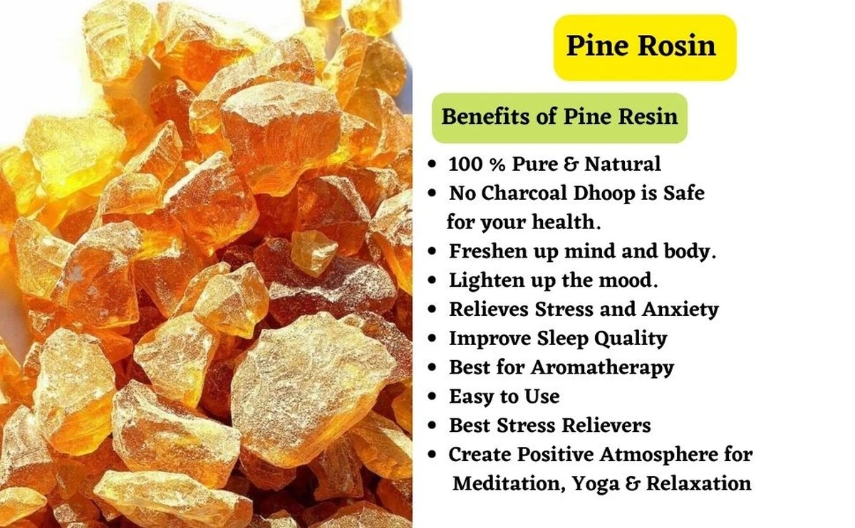 Proč zkušení bylinkáři žvýkají pryskyřici ze stromů místo tablet - image 1