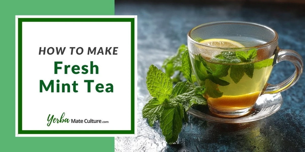 Proč zkušení bylinkáři míchají mátu s rozmarýnem - image 1