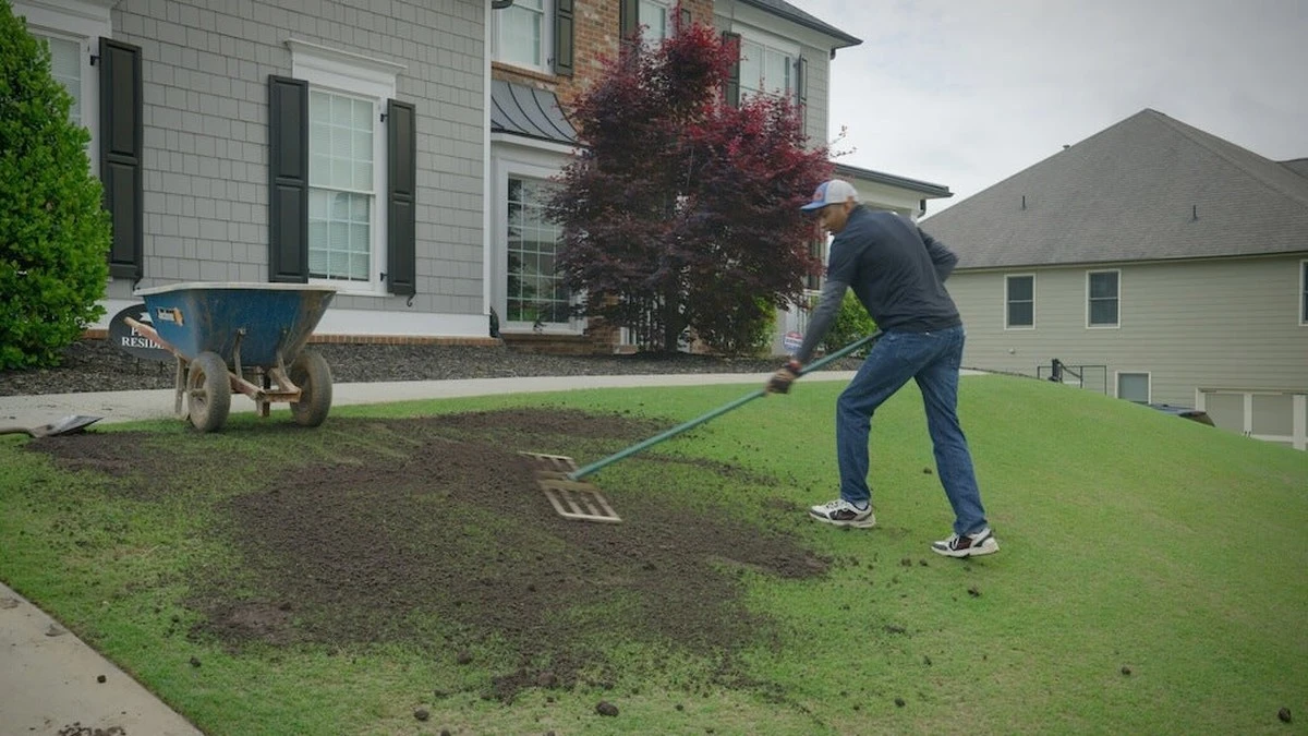 Proč zkušení čeští zahrádkáři na jaře nařezávají trávník do tvaru písmene X - image 1