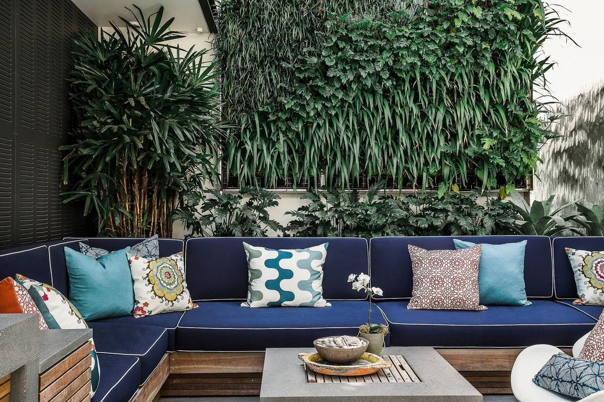 Proč zkušení designéři dávají palmu Rhapis do tmavých koutů obývacího pokoje - image 1