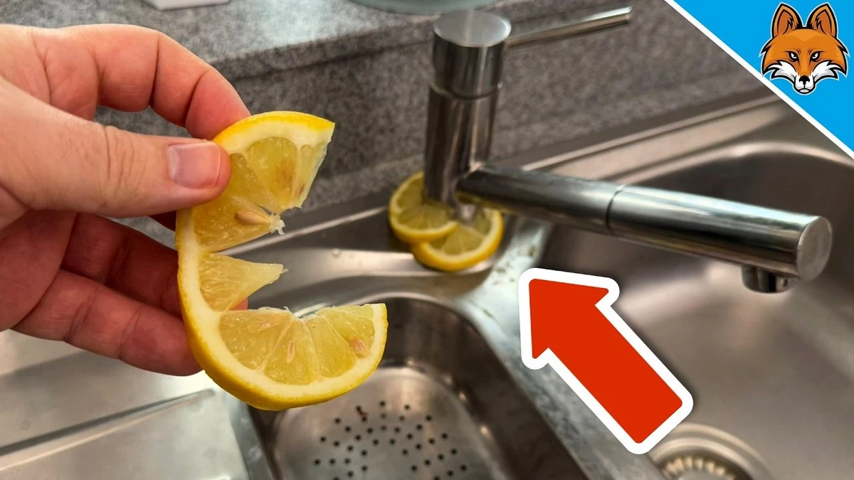 Proč zkušení hostitelé vždycky berou citronové kůrky do koupelny - image 1