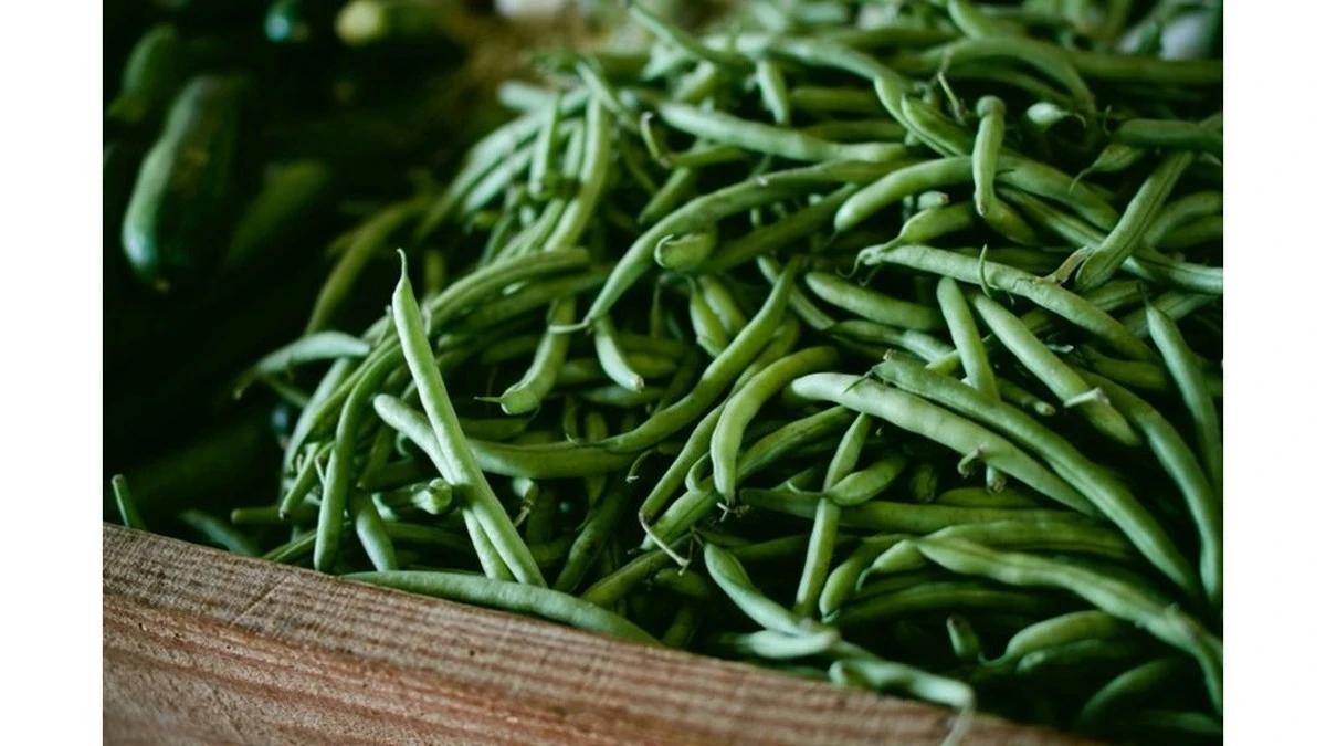 Proč zkušení kuchaři vaří zelené fazolky přesně 180 sekund