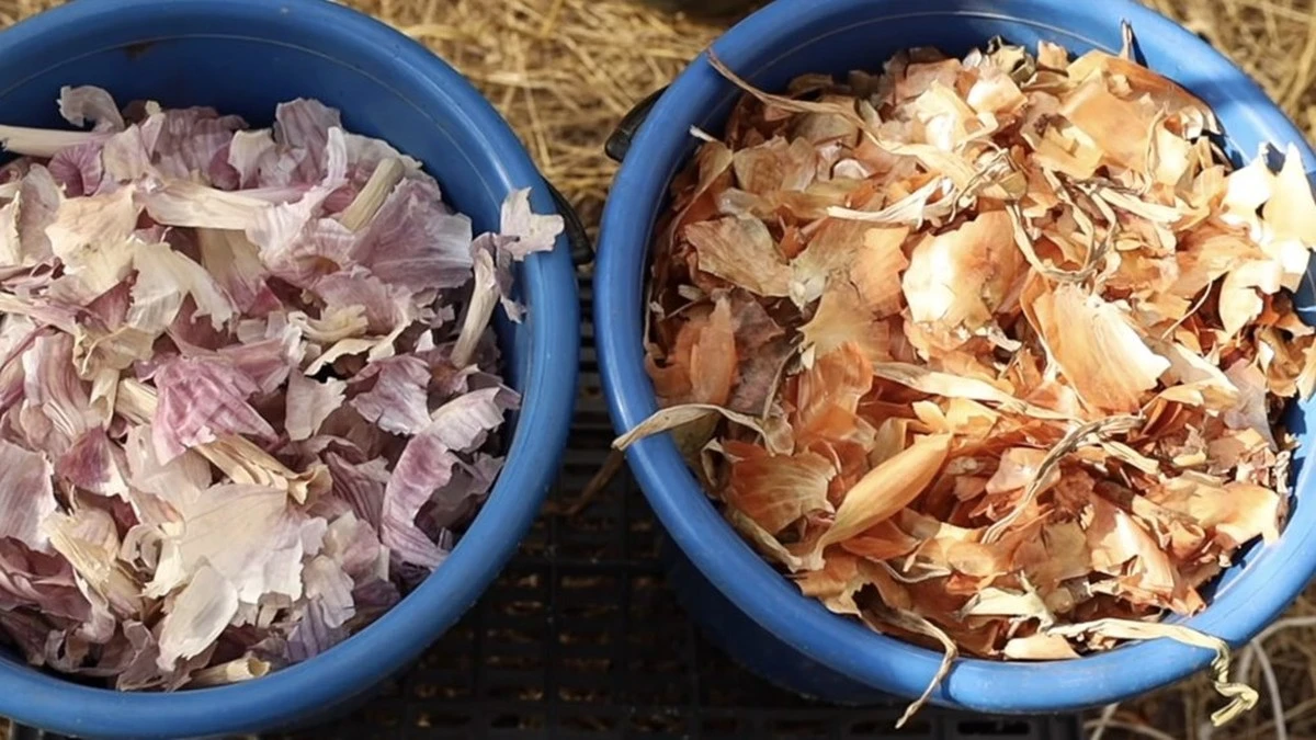 Proč zkušení kuchaři vždy lijí lák z okurek do masa