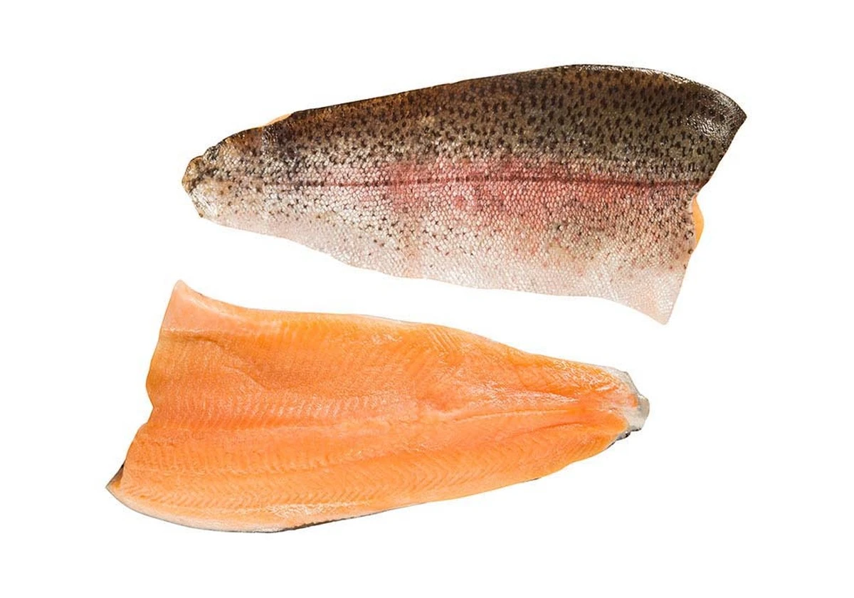 Proč zkušení kuchaři v obchodě častěji sahají po pstruhovi než po lososu - image 1