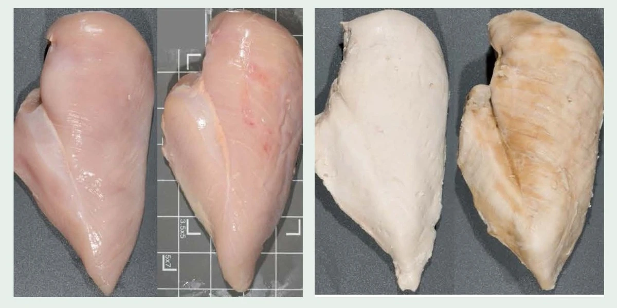 Proč zkušení kuchaři nekupují kuřecí prsa s bílými proužky - image 1