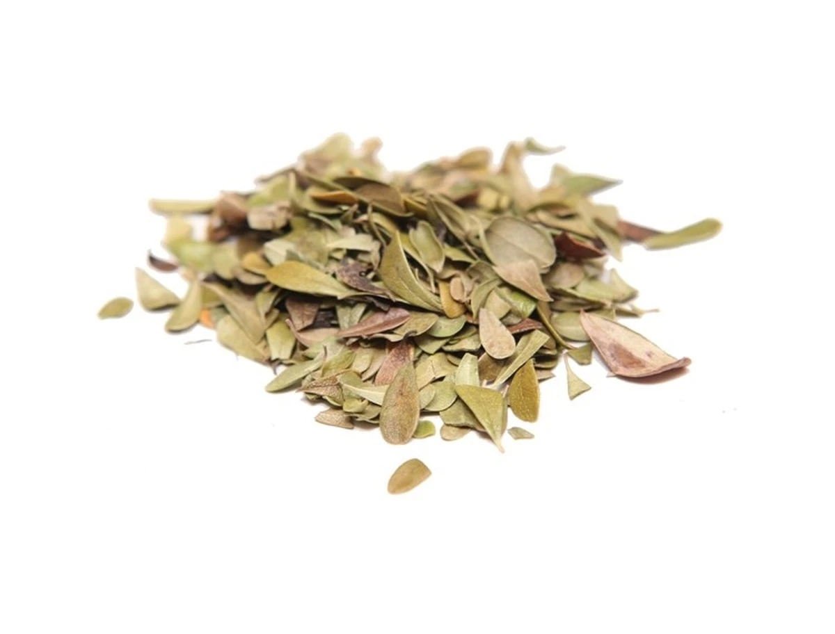 Proč zkušení lékárníci doporučují hrst lístků medvědice místo drahých doplňků - image 1