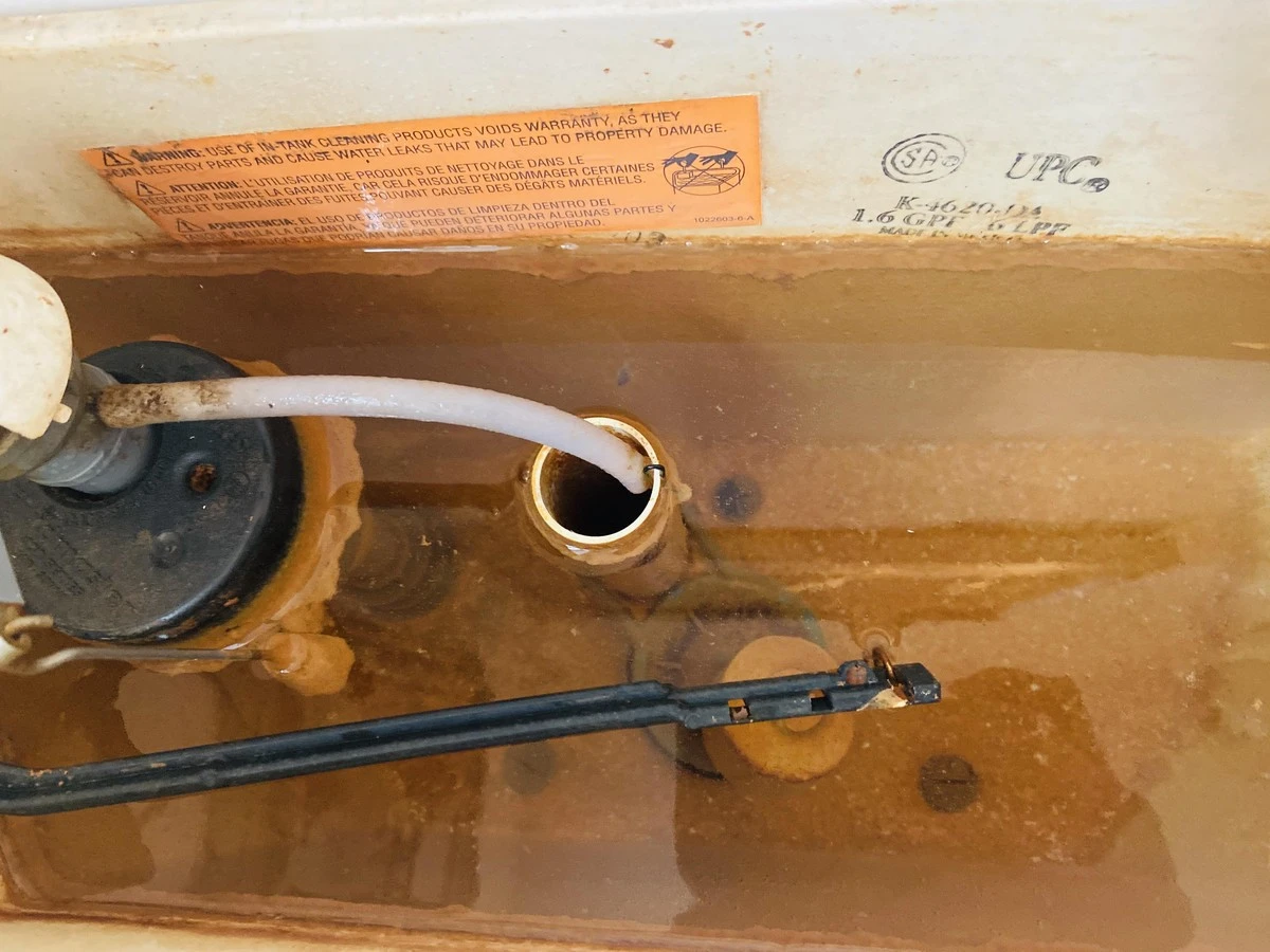 Proč zkušení lidé po každém žehlení vylévají vodu z nádržky - image 1