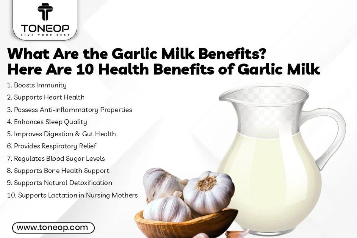 Proč zkušení lidé pijí večer mléko s česnekem - image 1