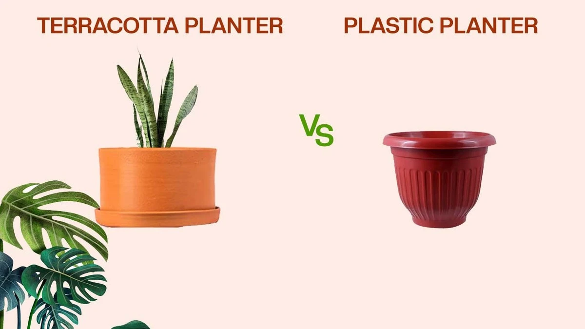 Proč zkušení pěstitelé vždy dávají hliněný květináč přednost před plastovým - image 1