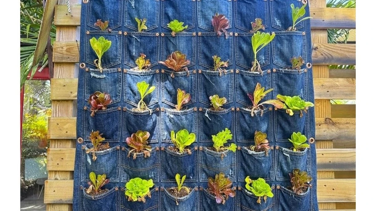 Proč zkušení zahrádkáři věší staré džíny na balkon