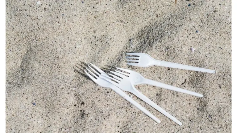 Proč zkušení zahrádkáři zapichují plastové vidličky do záhonů s rajčaty