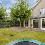 Proč zkušení zahradníci nikdy nesázejí rychle rostoucí javory