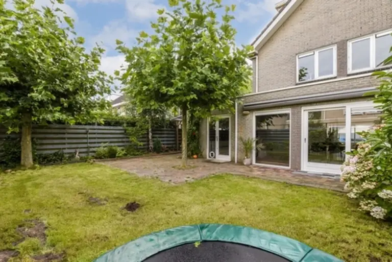 Proč zkušení zahradníci nikdy nesázejí rychle rostoucí javory