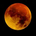 Proč zkušení zahrádkáři sázejí brambory až po Velikonocích