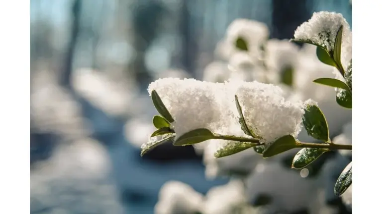 Proč zkušení zahrádkáři kupují v dubnu bílou textilii o gramáži 50 g/m²