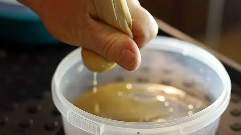 Proč zkušení zahrádkáři dávají listy aloe do lednice před setím rajčat