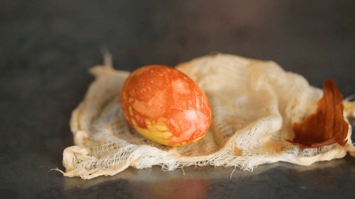 Proč zkušení zahrádkáři nevyhazují afrikány a dávají je do hrnce s vejci - image 1