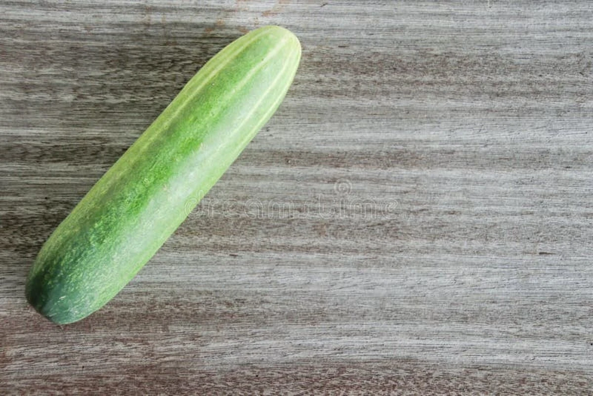 Proč zkušení zelináři nikdy nedávají okurky do lednice - image 1